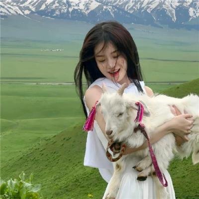 叔比狗疯狂摔角大奇案